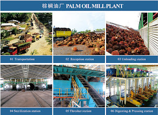 Palm oil processing plant 
