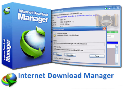 Internet Download Manager (IDM) 6.25 Build 14 Final + Crack Free Download