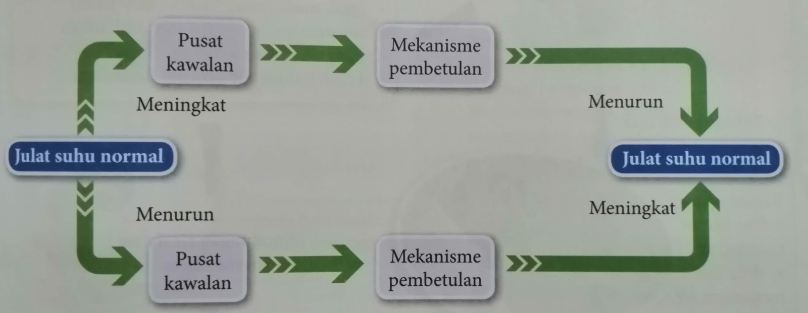 Homeostasis maksud PENGERTIAN HOMEOSTASIS