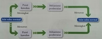 Proses Kawalan Homeostasis