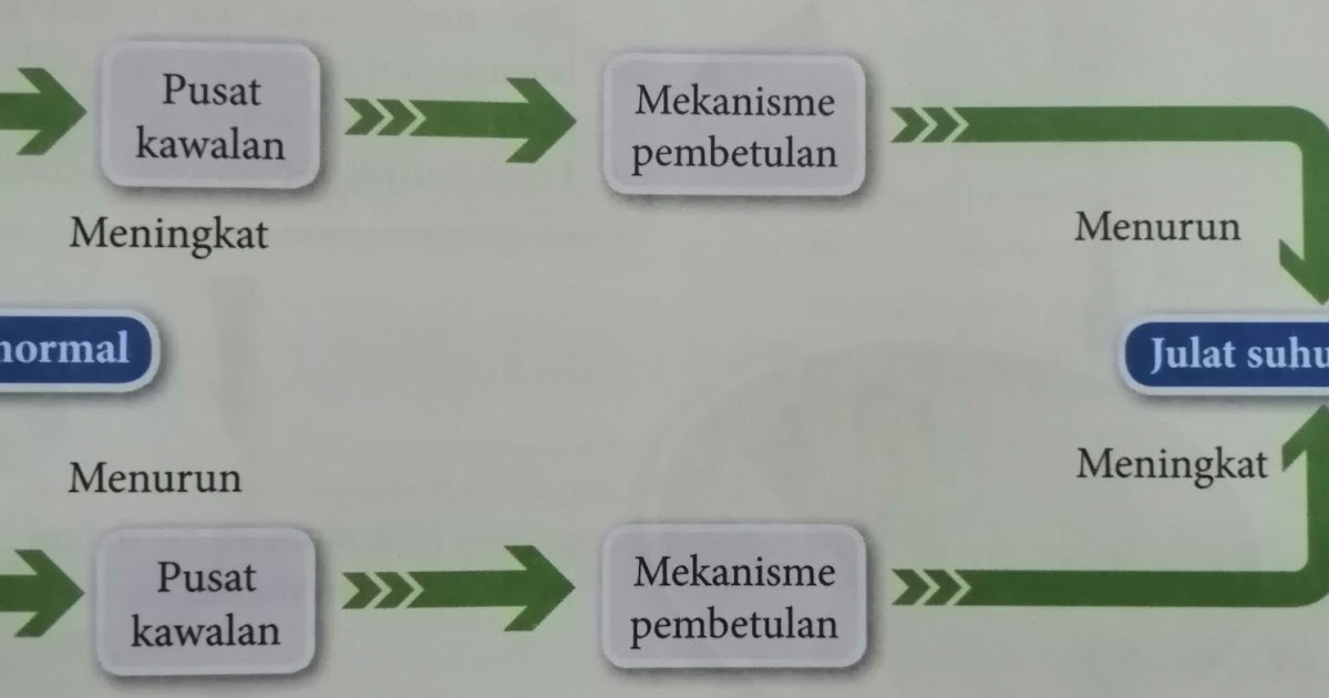 Homeostasis apakah maksud 11 Contoh