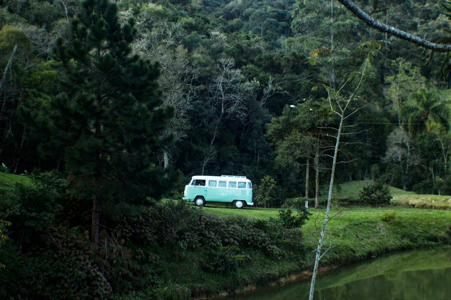 Matilda vai a... Alfredo Wagner This is from Matilda