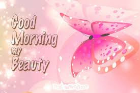 good morning good morning