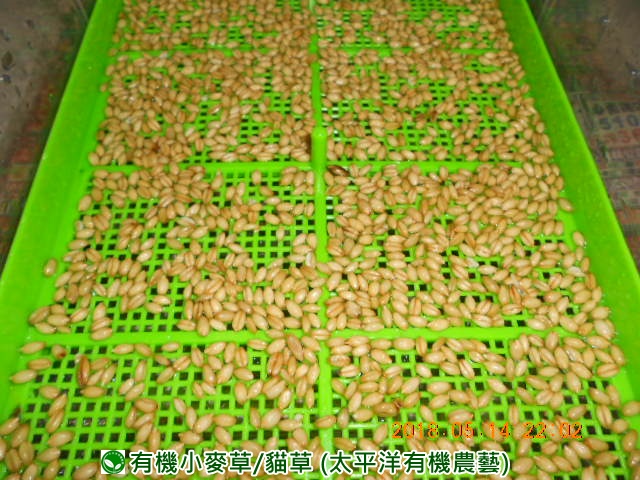 �p��,�߯�ش�,�߯�شӤ�k,�߯�,�߯�O����,�߯�diy,�߯�p����,�߯����,�^�K���@�k,�ؿ߯�