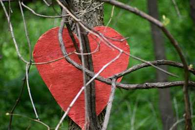 Hearts along the trail