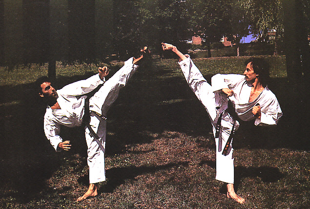 BUDOKAN blog de artes marciales José Manuel Egea, aquí y ahora