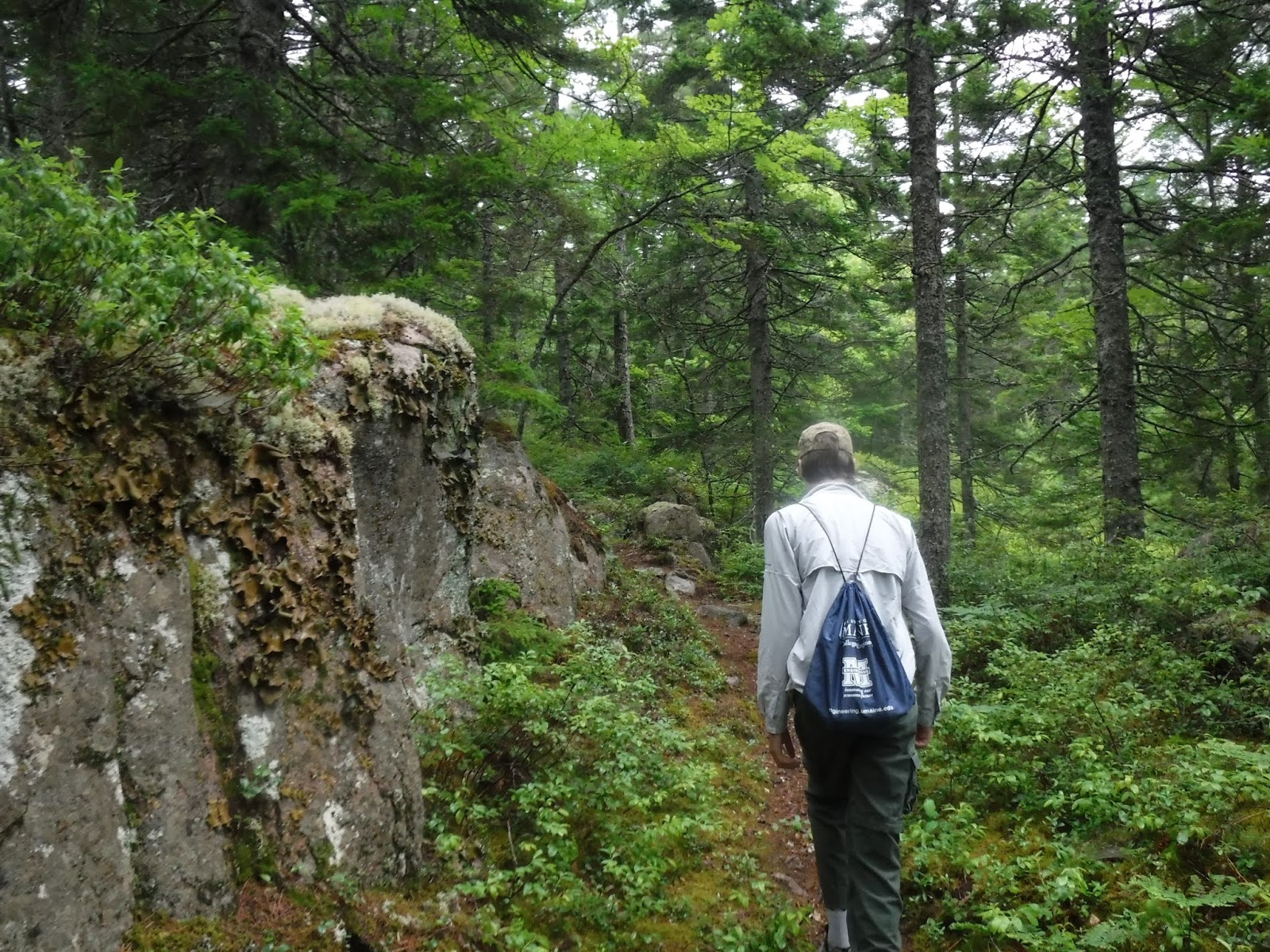 Baker Hill (Sullivan) and Schoodic Head (Acadia NP)