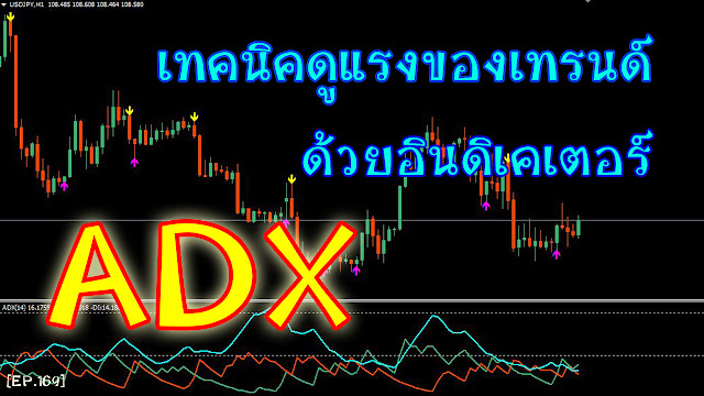 Forex MIracle