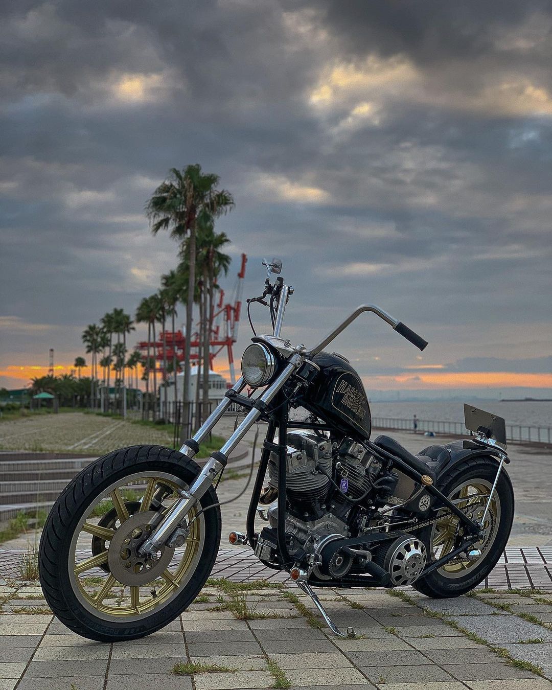 Hell Kustom Harley Davidson Shovelhead By Chopper Genie