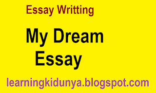  My Dreams Essay