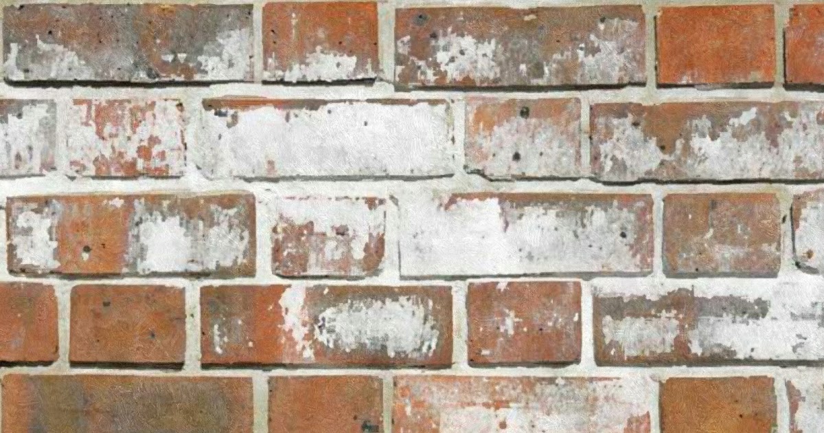 The Brick Trowel Efflorescence What are the White Stains on my Bricks?