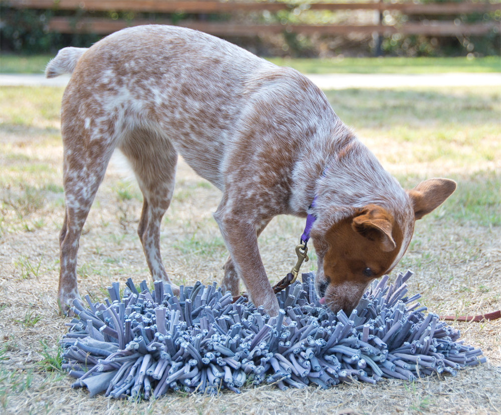 The Dog Geek: Puzzle Toy Review: Paw5 Wooly Snuffle Mat