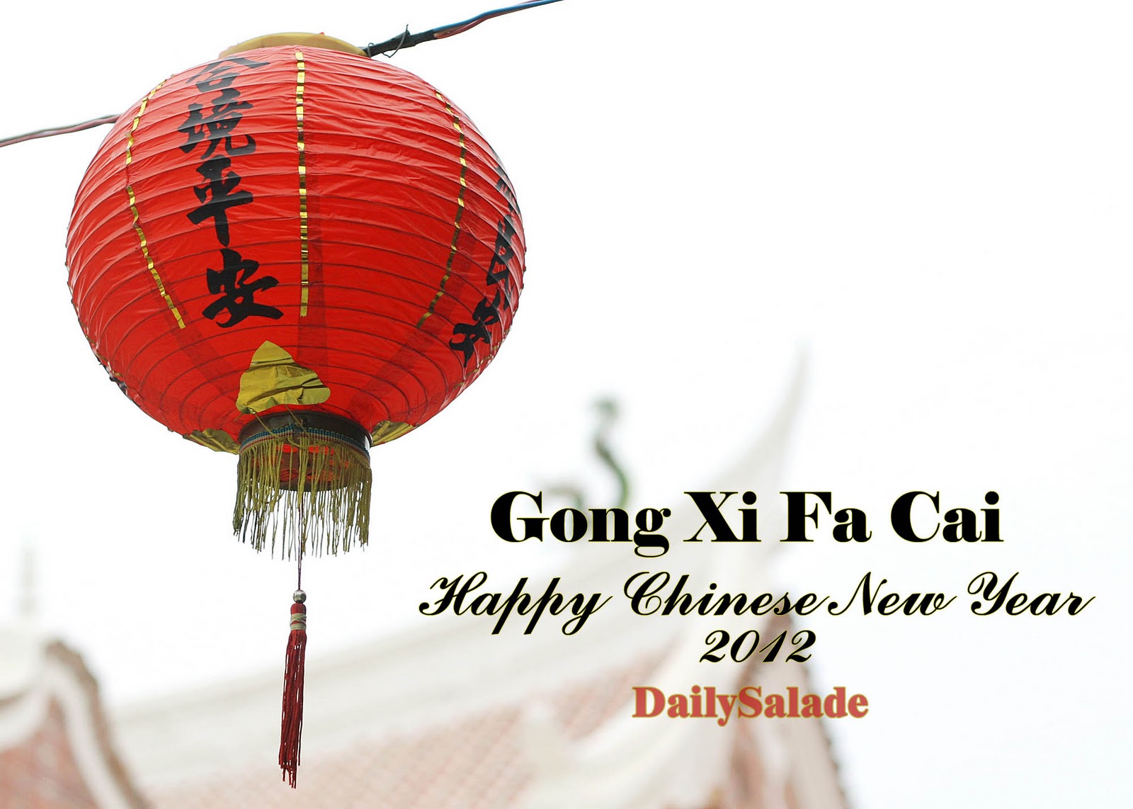 DailySalade: A Belated Gong Xi fa Cai