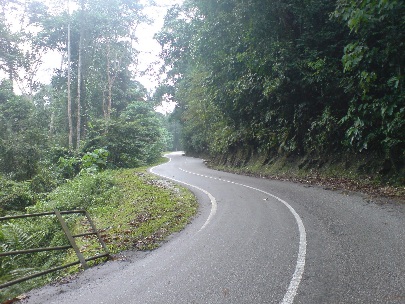 kencing Luu: SERAM!!! Kisah BENAR Misteri Jalan Karak!