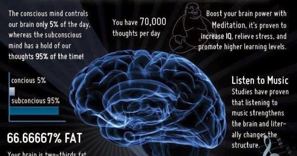 Amazing brain
