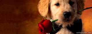 Capas para Facebook: Animais - Cachorrinho filhote entregando rosas