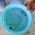 Ministério da Saúde alerta Bahia para risco de surto de dengue