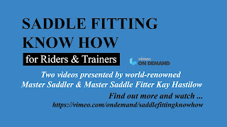 Saddle Fitting Videos from Kay Hastilow