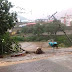 REGIÃO / Chuvas fortes em Itiúba e várias cidades da região do Sisal