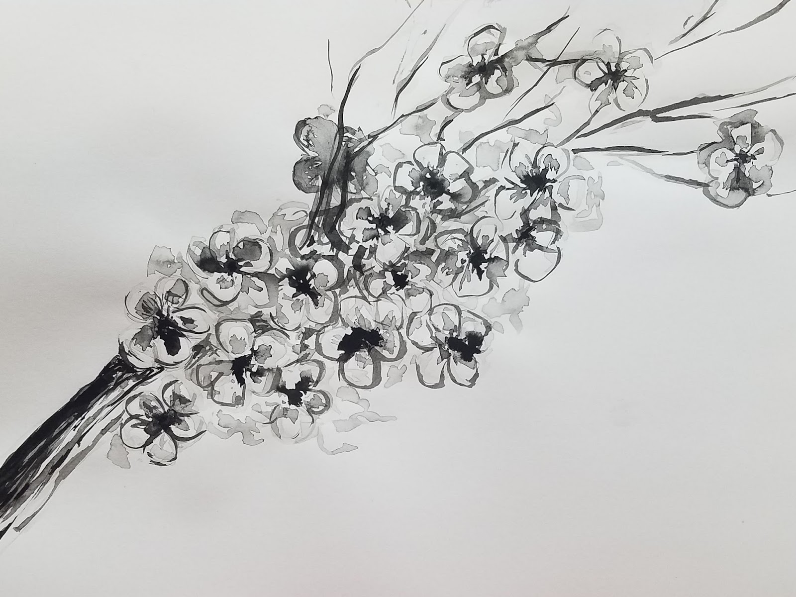 india ink drawing for acrylic painting india ink drawing for acrylic painting
