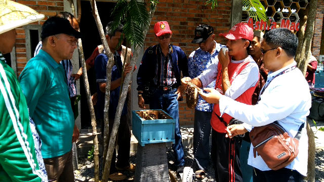 Menyimak penjelasan peternak lebah madu dari Asfa Madu