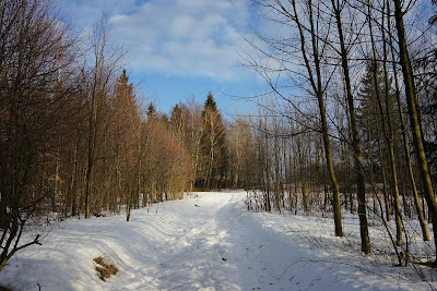 Spojrzenie do tyłu