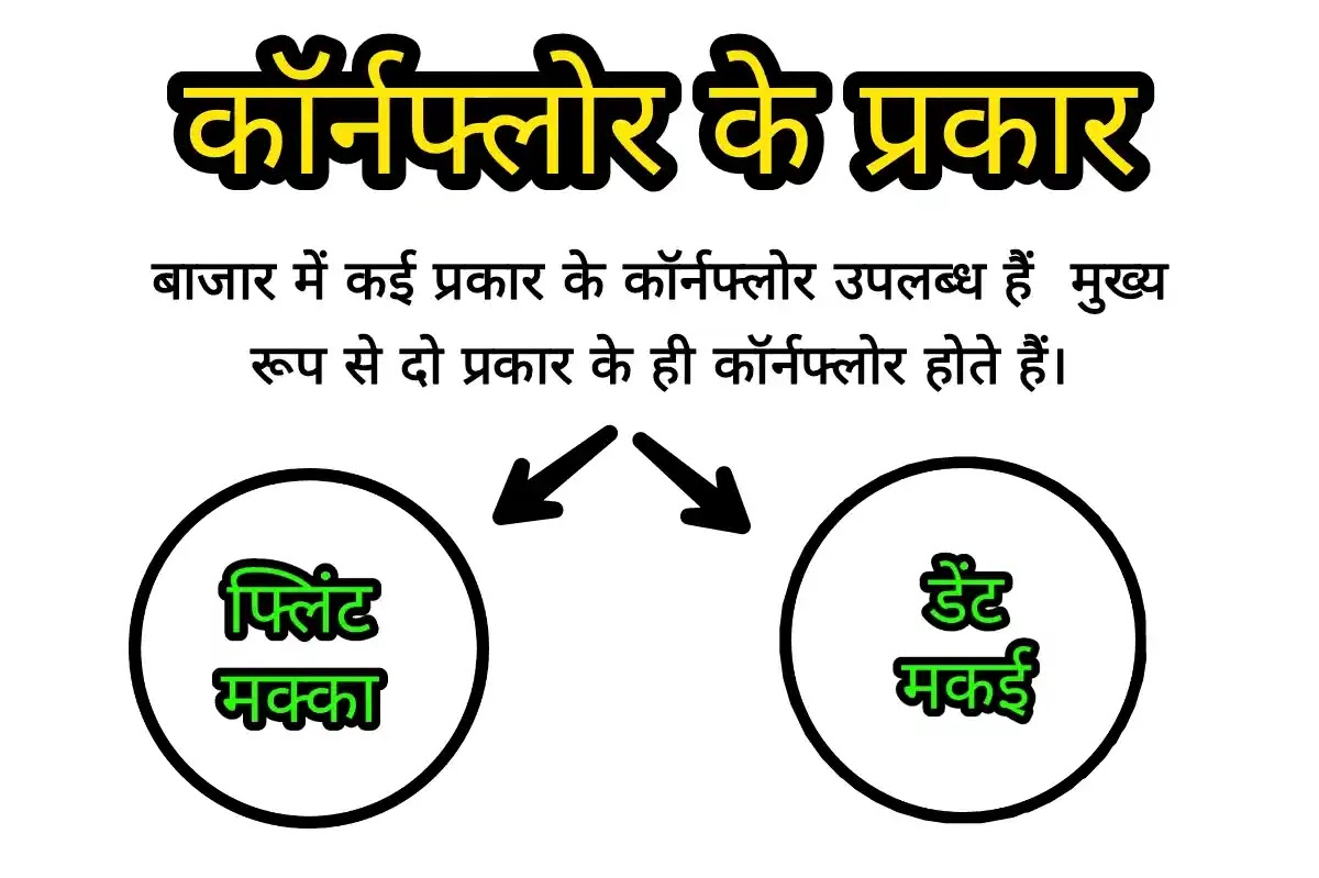 Cornflour in hindi: फायदे, नुकसान, इत्यादि कॉर्नफ्लोर के प्रकार