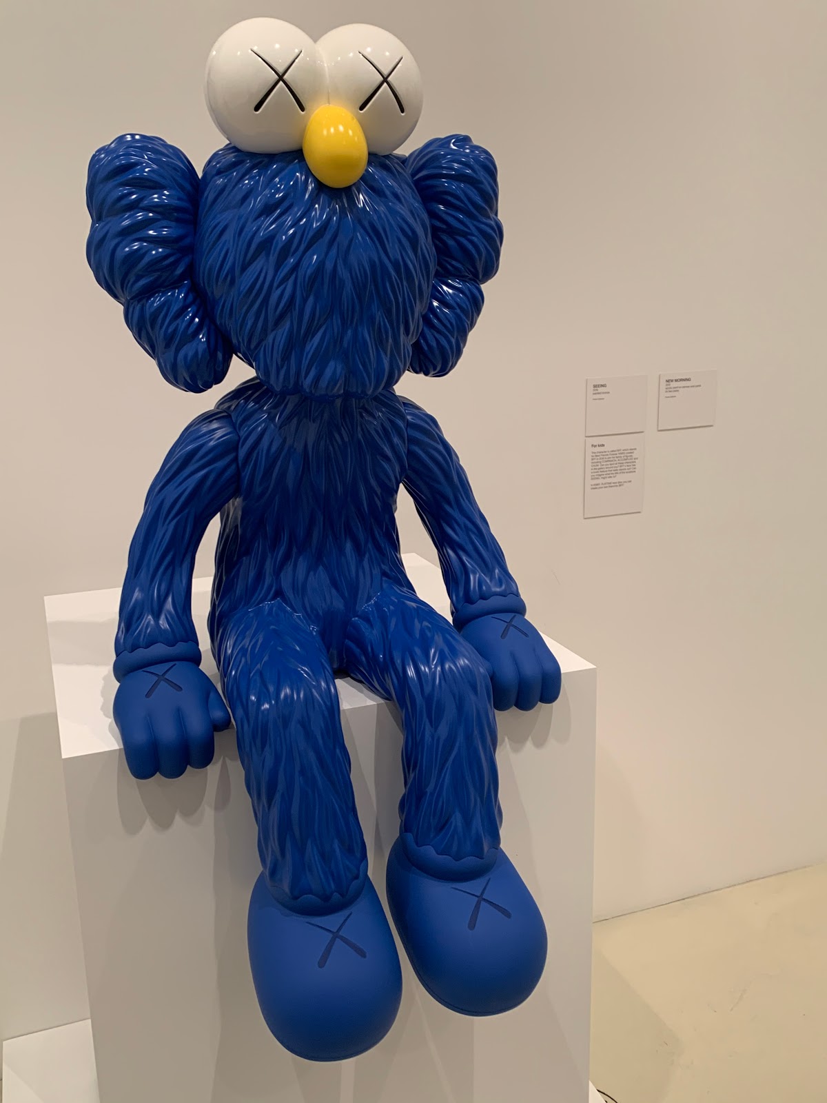 Aerohaveno Review KAWS, Melbourne, Australia