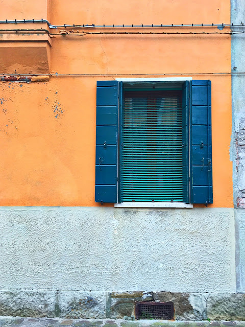 love the contrast in color