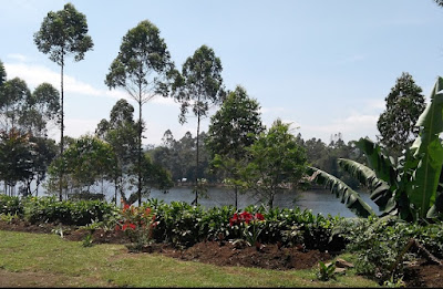 De Bloem - Lakeview Villa, Penginapan di Pangalengan
