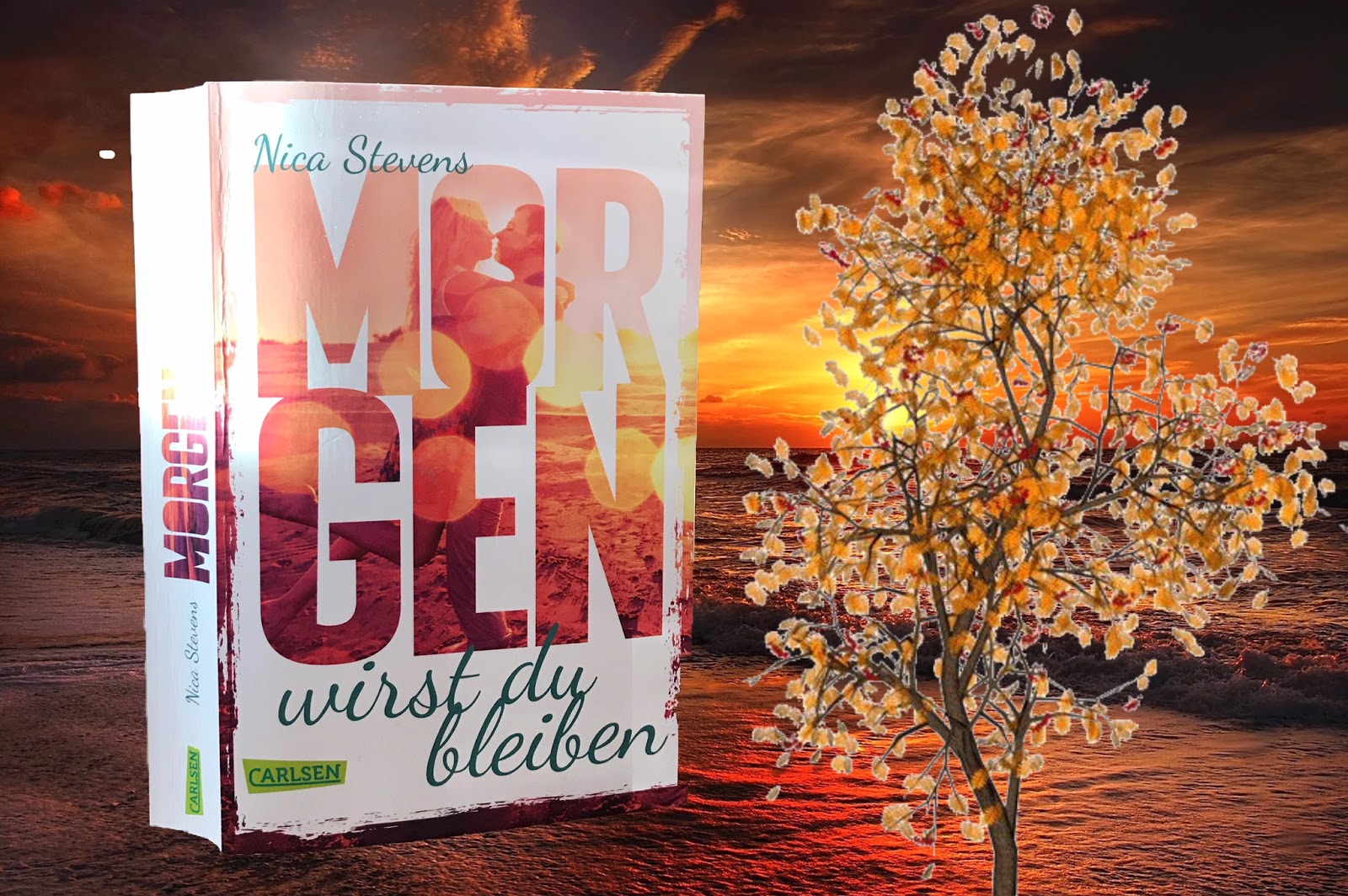 Buchfee Dystopie, Fantasy und mehr Rezension wirst Du