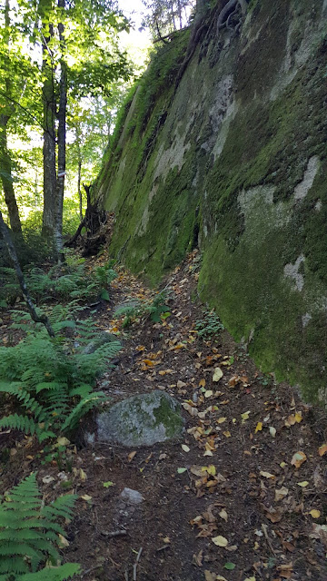 Sentier vers le sommet du mont Gorille