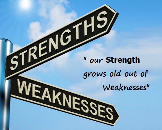 Jawapan Temuduga Sumbangan Kepada Syarikat Rasmi My