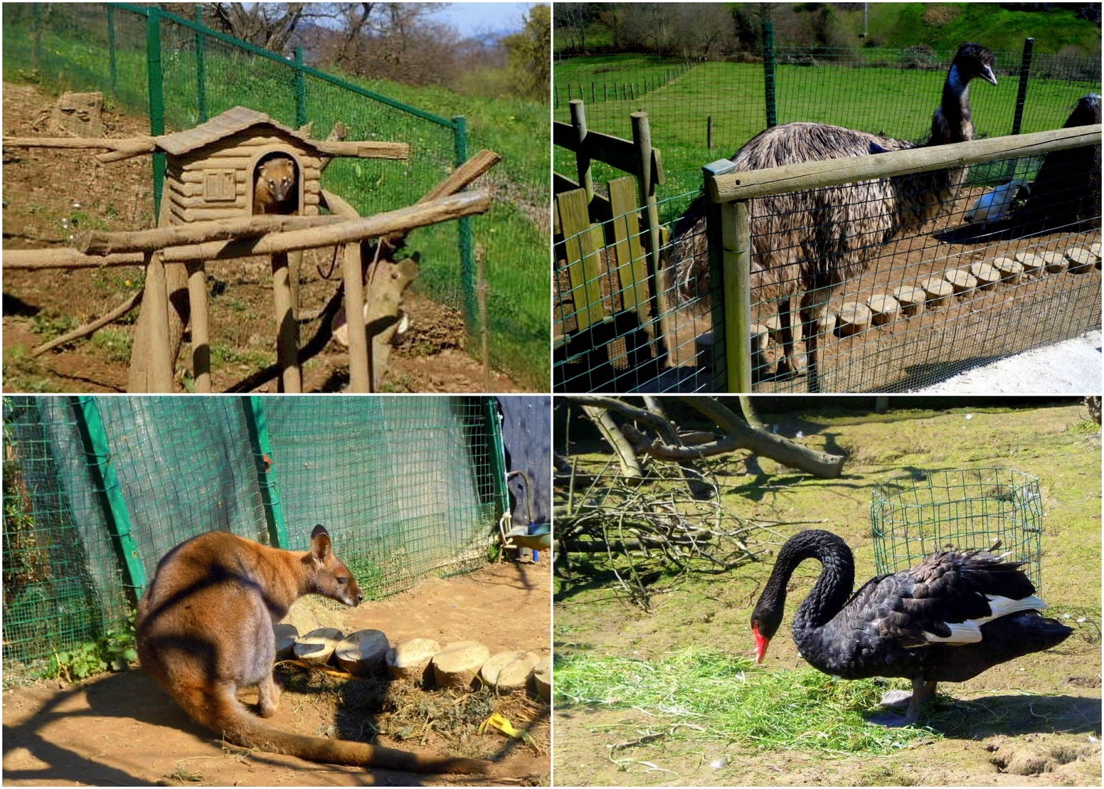Asturias con niños Núcleo Zoológico El Bosque, en Oviedo