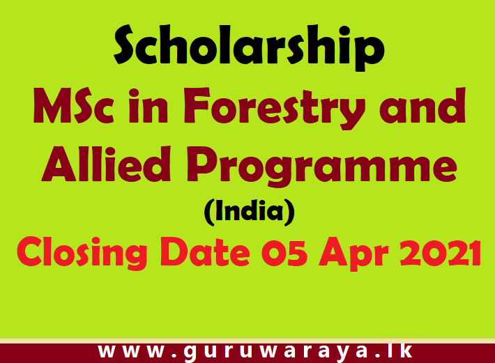 Scholarship : MSc in Forestry and Allied Programme (India)