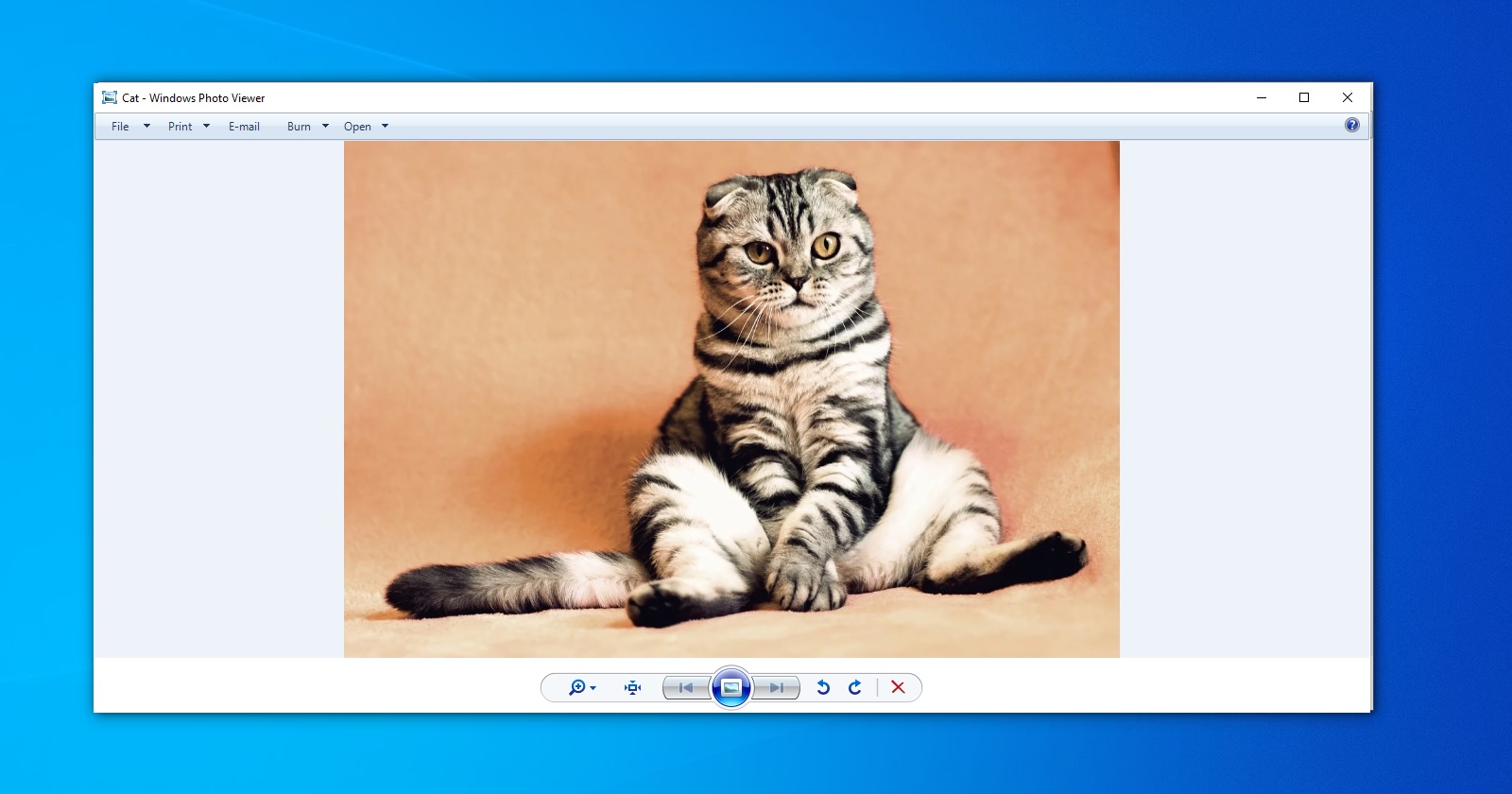  How to fix Windows 10 Photo Viewer Zoom Error Glitch