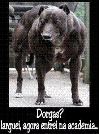 dorgas+larguei+-+academia.gif