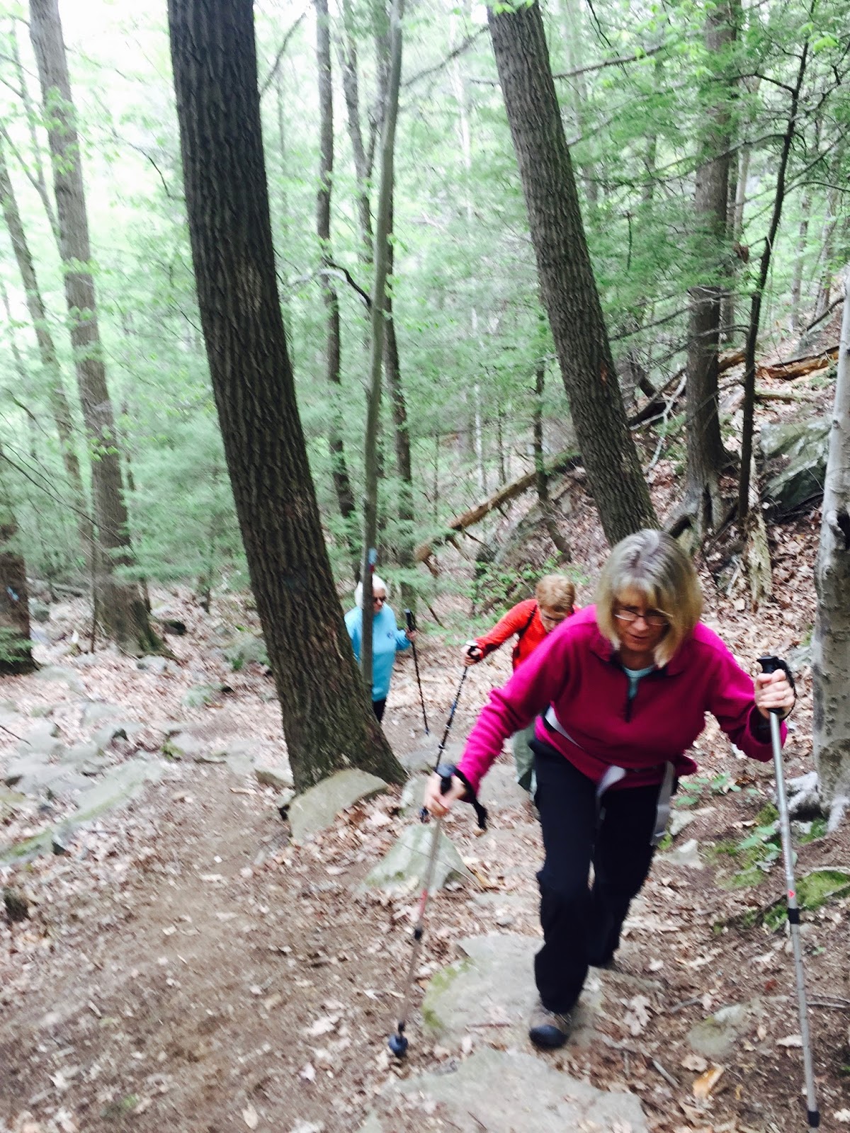 Valley Hikers Peoples State Forest, Barkhamsted