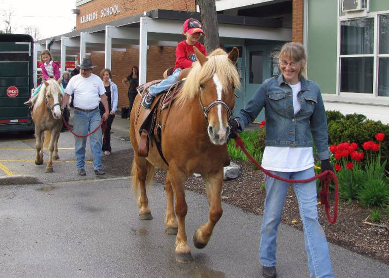 Dream Catcher Stables Events Teddy Bear Picnic!