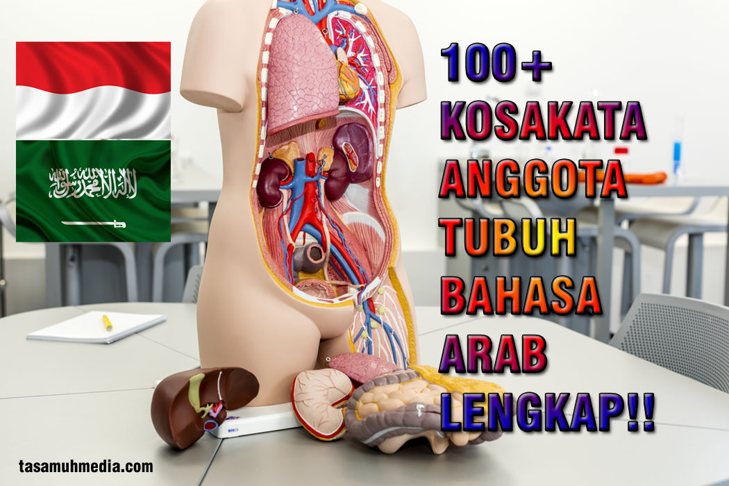 100 Kosakata Lengkap Anggota Tubuh Dalam Bahasa Arab