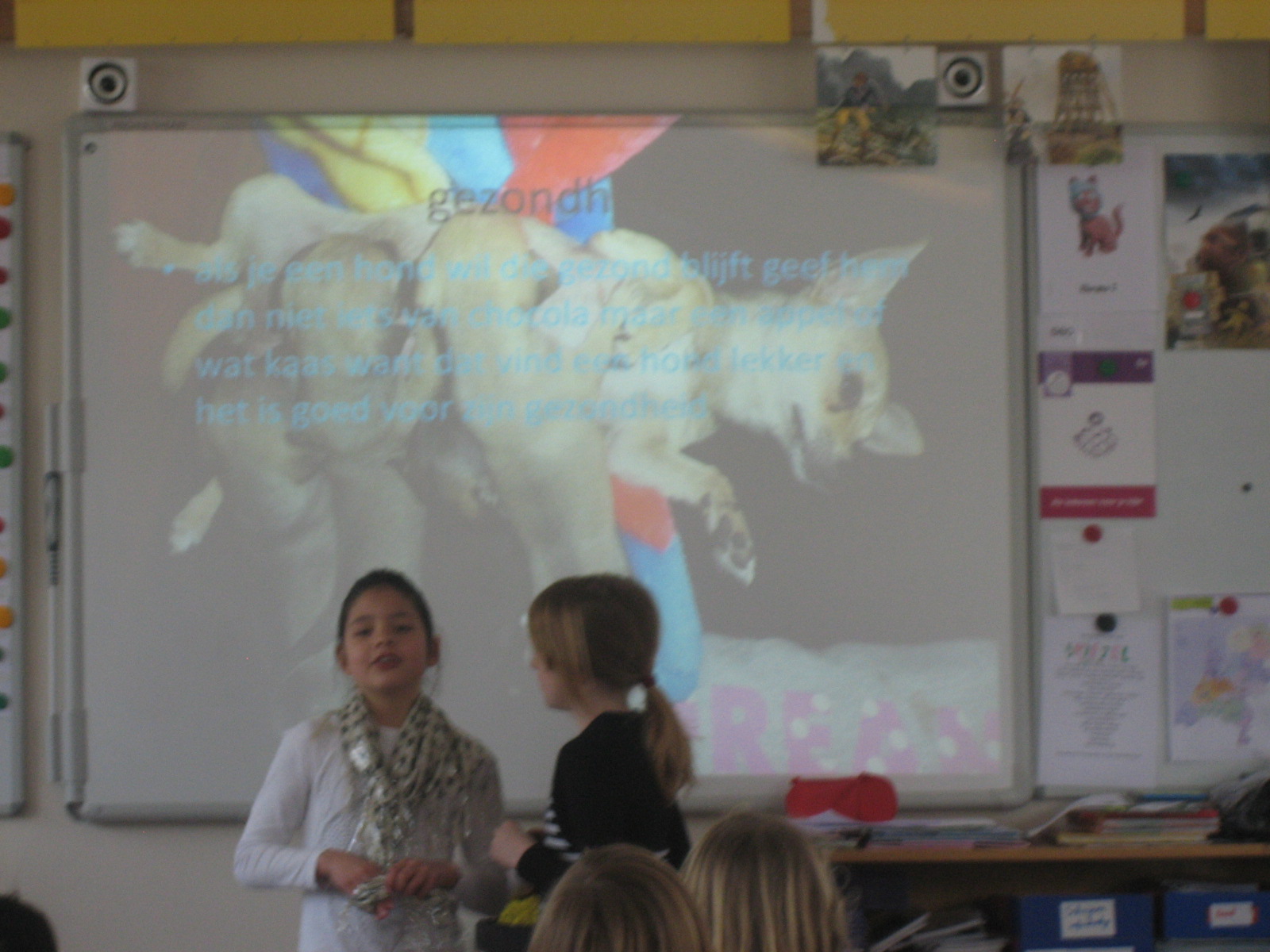 groep 7: spreekbeurt Merel en Luz