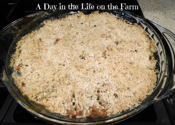mikro Morse kode uøkonomisk A Day in the Life on the Farm: Rabarberpaj (Rhubarb Crumble) #EattheWorld