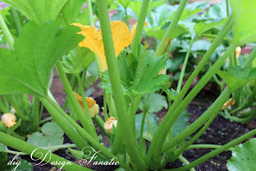 raised beds, raised beds on a slope, vegetable garden, building project, diyDesignFanatic.com