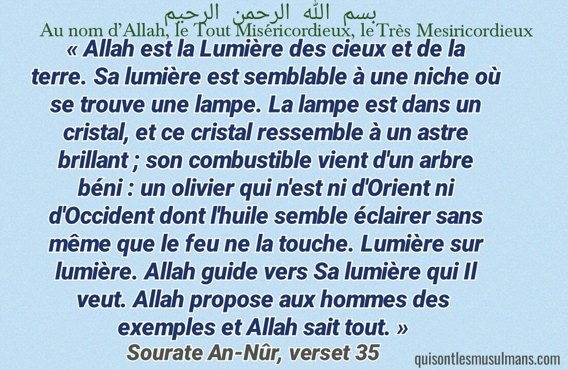 TÉLÉCHARGER DOUAA MOHAMED HASSAN HASSAN TÉLÉCHARGER DOUAA MOHAMED