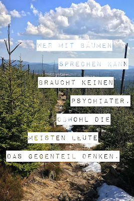 Die 50 besten Zitate zu den Themen Wald und Bäume | Waldzitate | Baumzitate | Naturzitate | Zitate-Wald | Inspirierende-Zitate