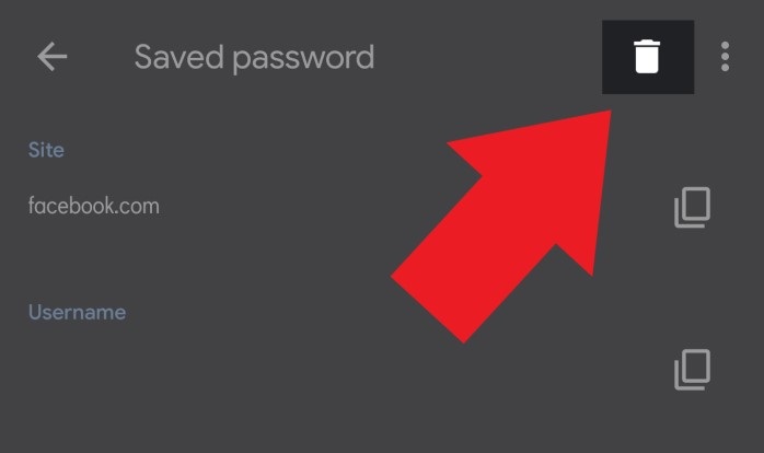 How to View, Edit, Delete, and Export Saved Passwords in Google Chrome 6