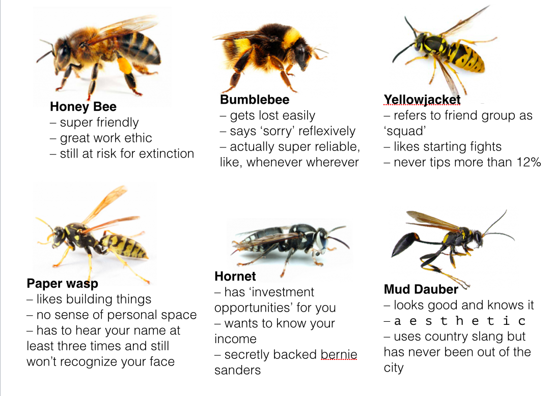 Bees & WASPs.