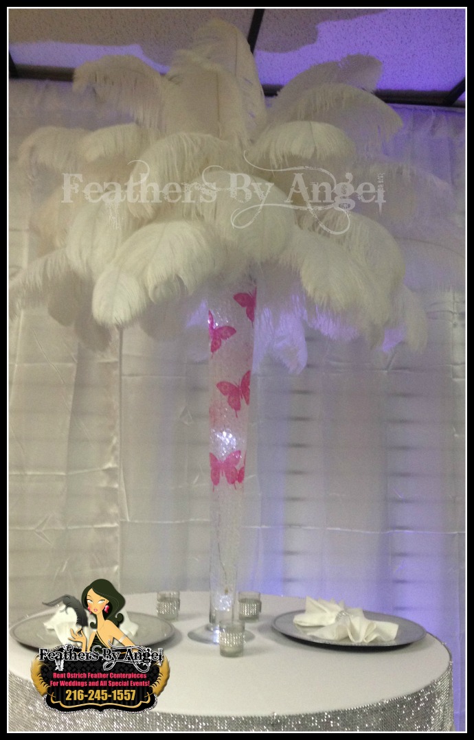 Feather Centerpieces in Austin Texas Rent Feather Centerpieces in Texas