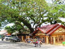 Makam Syuhada 8