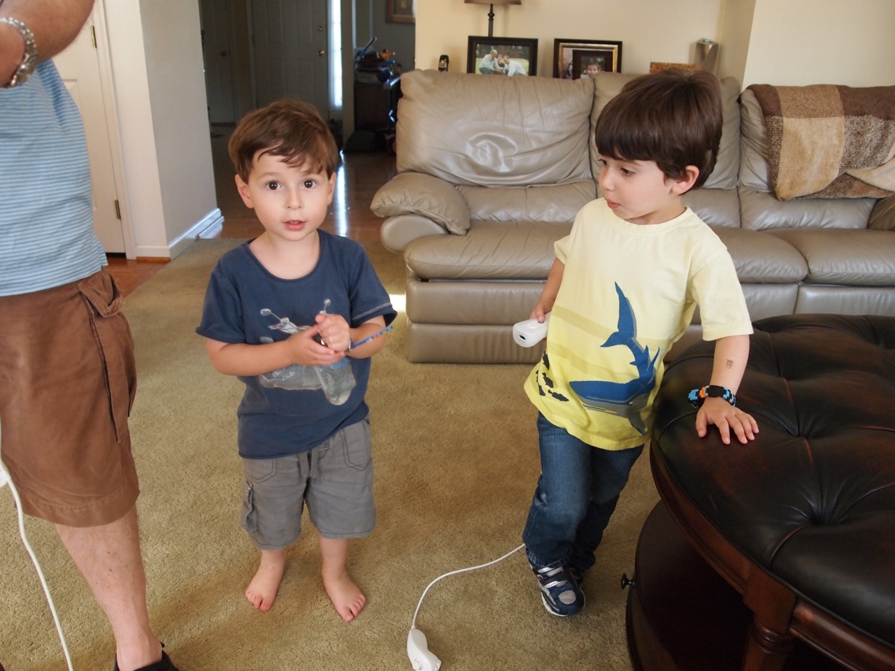 And Then There Were Six What is a Zebra Striped Whale?